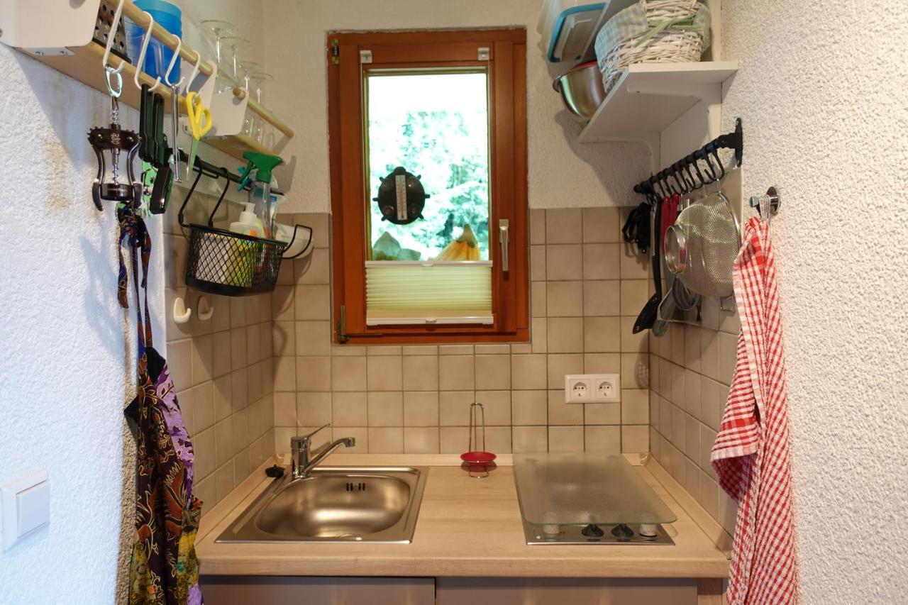 Apartments Amalia - Mit Wlan Und Sky In Traumhafter Lage Todtmoos Zewnętrze zdjęcie