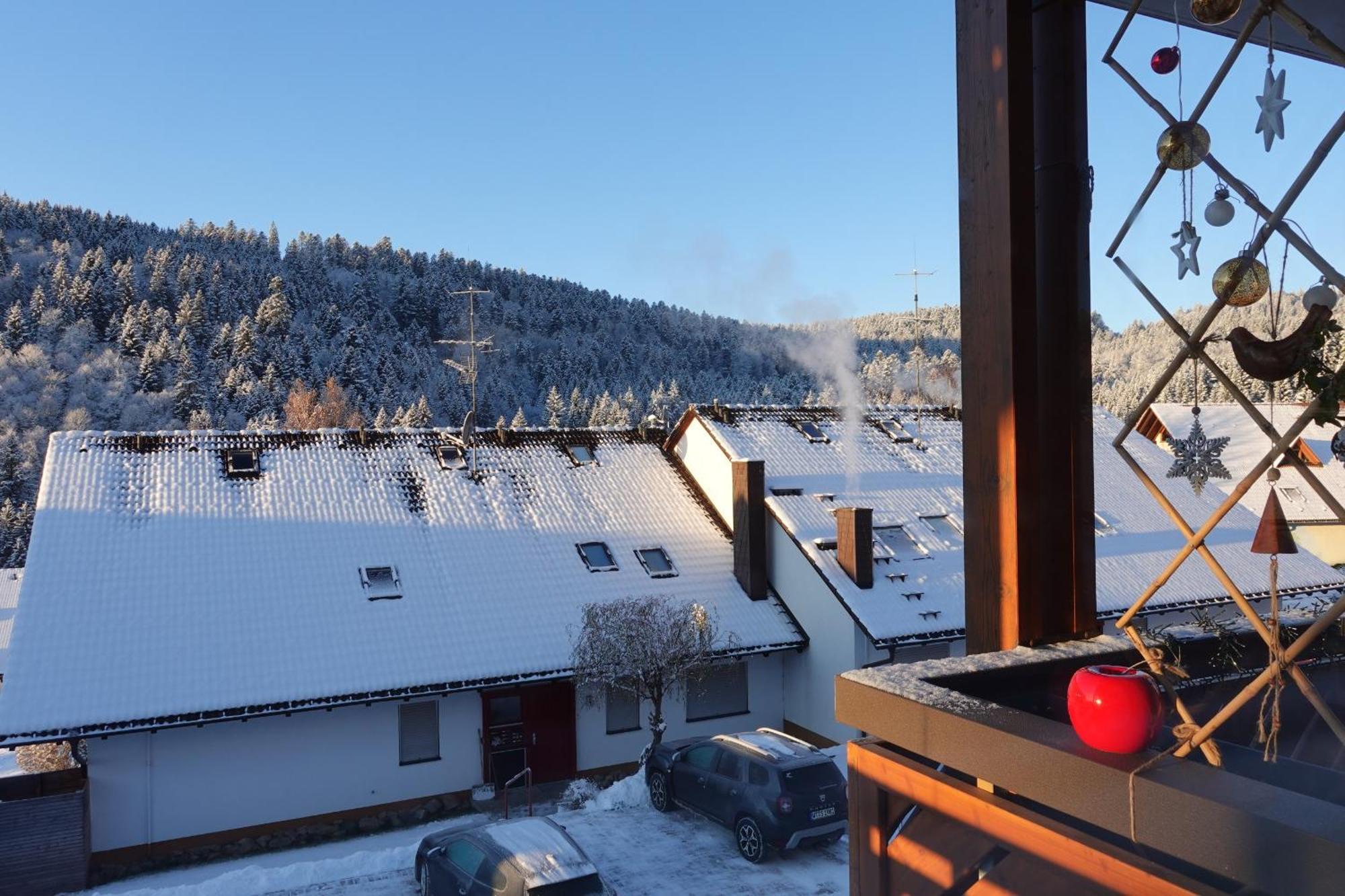Apartments Amalia - Mit Wlan Und Sky In Traumhafter Lage Todtmoos Pokój zdjęcie